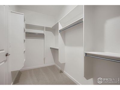 New construction Single-Family house 1854 Equinox Dr, Windsor, CO 80550 plan Plan C417 - image 14