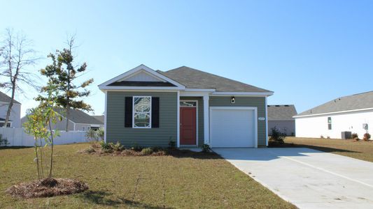 New construction Single-Family house 576 Strawberry Field Wy, Galivants Ferry, SC 29544 plan DEVON - image