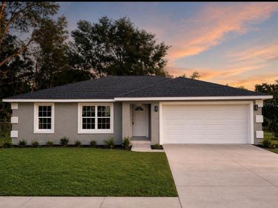 New construction Single-Family house 14147 Se 34Th Ct, Summerfield, FL 34491 - image