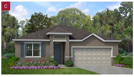 New construction Single-Family house 2509 Raghav Trail Road, Tavares, FL 32778 - photo 0