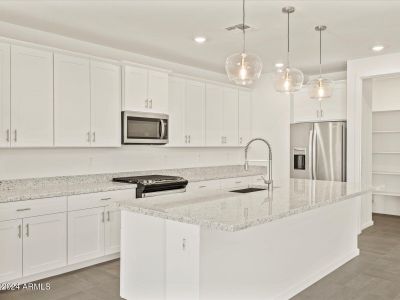 New construction Single-Family house 3546 E Alexander Dr, San Tan Valley, AZ 85143 Amber- photo 8 8