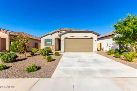 New construction Single-Family house 2904 E Tie Down Dr, San Tan Valley, AZ 85140 plan Coronado Plan 3560 - image