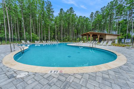 New construction Single-Family house 476 Rowley Lane, Summerville, SC 29486 Nantahala- photo 48 48