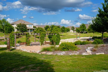 The Crossvine by Scott Felder Homes in Schertz - photo 6 6