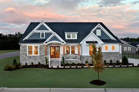 New construction Single-Family house 249 Lindo Johnson Rd, Pittsboro, NC 27312 null- photo 0