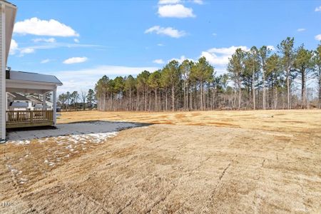 New construction Single-Family house 100 Bold Dr, Youngsville, NC 27596 Webster- photo 32 32