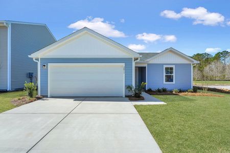 Essence at Elms Glen Single Family Homes by Stanley Martin Homes in Ladson - image 10