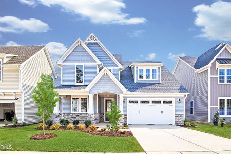 New construction Single-Family house 9008 Dupree Meadow Drive, Unit 48, Angier, NC 27501 - photo 0