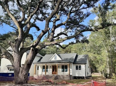 New construction Single-Family house 3874 Srevir Road, Johns Island, SC 29455 - photo 0