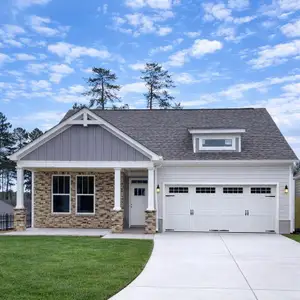 New construction Single-Family house 225 Harvest Trl, Hiram, GA 30141 plan The Ashlynn - image