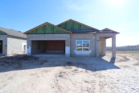 New construction Single-Family house 3142 Adams Cross Dr, Zephyrhills, FL 33540 Picasso- photo 50 50