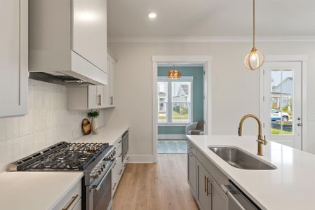 New construction Single-Family house 815 Gentle Breeze Dr, Summerville, SC 29486 plan Pine Mill - image 15