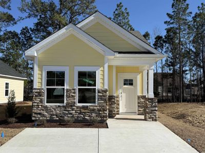 New construction Single-Family house 3135 Tiger Tail Rd, Unit 9, Conway, SC 29526 - image