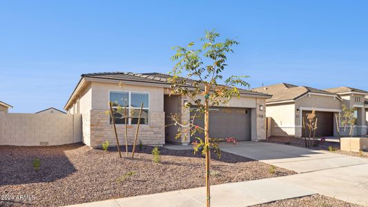 3734_Dove_Lot 1028_Rio Rancho_Surprise_A