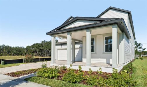 New construction Single-Family house 17401 Honeybell Tangelo Ct, Winter Garden, FL 34787 plan Duval II - image