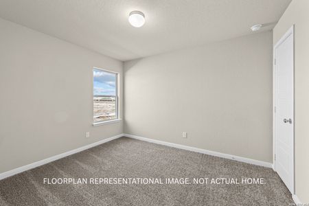New construction Single-Family house 4264 Carlotta Dr, New Braunfels, TX 78130 plan Azalea - image 19