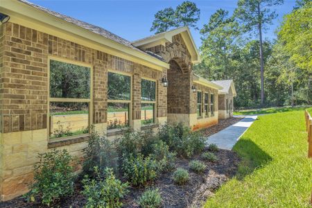 New construction Single-Family house 162 Bighorn Rd, New Waverly, TX 77358 - image 3