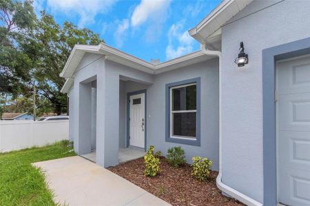 New construction Single-Family house 8505 N Brooks St, Tampa, FL 33604 - image