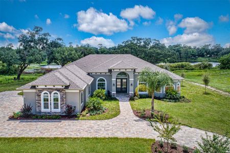 New construction Single-Family house 17899 Sw 72Nd Street Rd, Dunnellon, FL 34432 - image