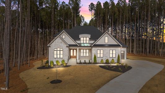 New construction Single-Family house 7440 Summer Tanager Trl, Raleigh, NC 27614 null- photo 0