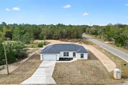 New construction Single-Family house 2 Fisher Lane Trl, Ocklawaha, FL 32179 - image