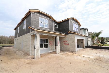 New construction Single-Family house 10716 New Morning Dr, Tampa, FL 33647 Coronado II- photo 52 52