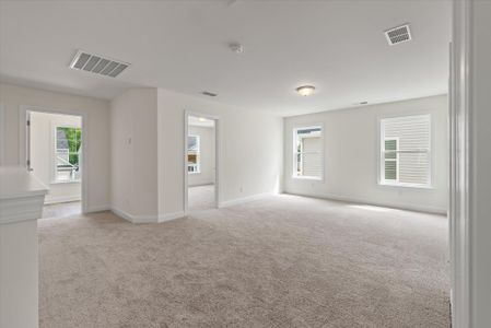 New construction Single-Family house 222 Palfrey Dr, Ridgeville, SC 29472 plan Wilmington - image 18