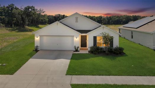 New construction Single-Family house 11446 Se 72Nd Ave, Belleview, FL 34420 plan Cali - image