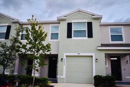 New construction Townhouse house 17202 Amber Aspen Way, Land O' Lakes, FL 34638 plan Glen - image