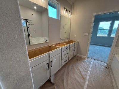 New construction Single-Family house 284 Denali Wy, Dripping Springs, TX 78620 Travis- photo 12 12