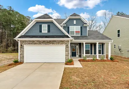 New construction Single-Family house 361 Blue Oak Dr, Moncks Corner, SC 29461 plan Raleigh - image
