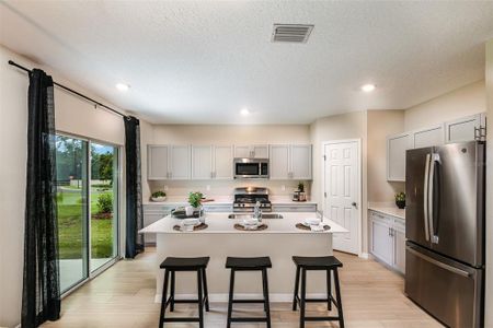 Two Rivers by Casa Fresca Homes in Zephyrhills - photo 20 20