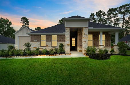 New construction Single-Family house 17728 Gold Saddle Ln, Magnolia, TX 77354 plan Palmetto - image