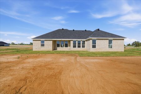 New construction Single-Family house 11 Cattleman Dr, Poolville, TX 76487 plan The Iris - image 17