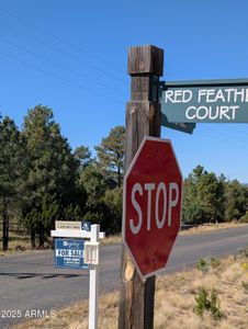 New construction Single-Family house 7267 Red Feather Ct, Happy Jack, AZ 86024 - image 15