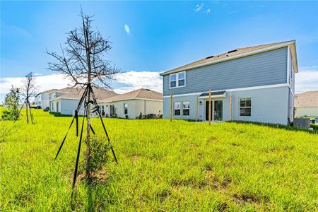 New construction Single-Family house 1021 Waterfall Blvd, Davenport, FL 33837 - image