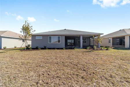 New construction Single-Family house 10019 SW 106th Ct, Ocala, FL 34481 plan Ariana - image