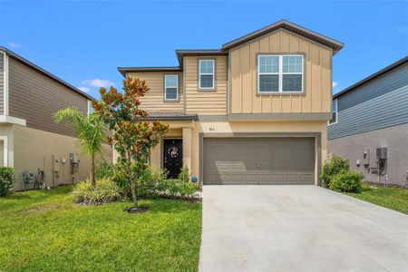 New construction Single-Family house 9815 Carabiner Wy, Land O' Lakes, FL 34637 - image