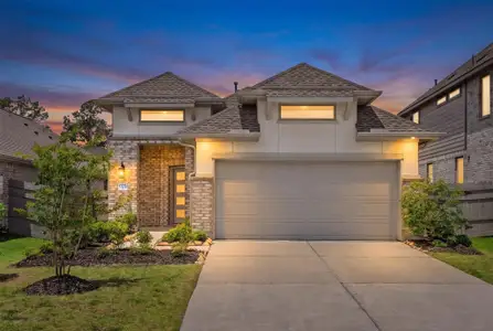 New construction Single-Family house 17270 Wild Watermelon Wy, Conroe, TX 77302 - image