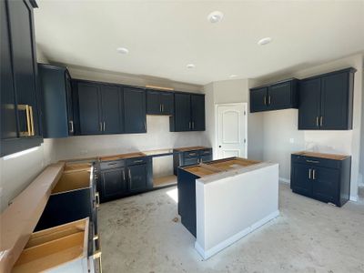 New construction Single-Family house 1028 Sienna Bear Rd, Georgetown, TX 78633 Colton- photo 10 10