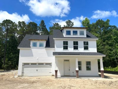 New construction Single-Family house 1224 Alston Dingle Road, Awendaw, SC 29429 - photo 0