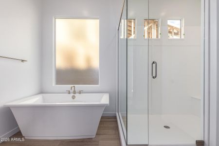 New construction Single-Family house 13647 W Crabapple Dr, Peoria, AZ 85383 plan Lot 033 - Sanctuary - image 13