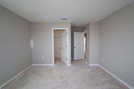 New construction Single-Family house 38338 Tobiano Loop, Dade City, FL 33525 Mira Lago- photo 118 118