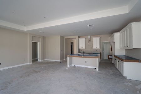 New construction Single-Family house 20050 Oriana Loop, Land O' Lakes, FL 34638 Santa Monica- photo 102 102