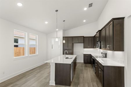 New construction Single-Family house 1117 Yaupon Holly Dr, Georgetown, TX 78628 Plan 2- photo 16 16