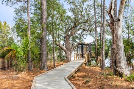 New construction Single-Family house 3554 Clambank Dr, Mount Pleasant, SC 29466 King- photo 66 66