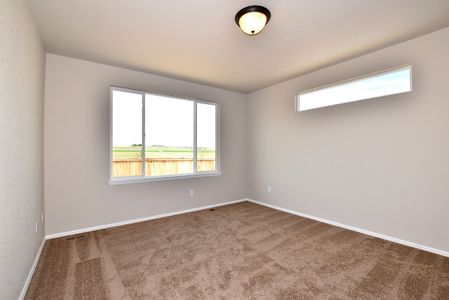 New construction Single-Family house 437 Vivid Ln, Windsor, CO 80550 null- photo 23 23