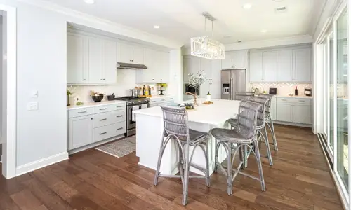 New construction Single-Family house 19407 Youngblood Rd W, Charlotte, NC 28278 plan Coronado - image 6