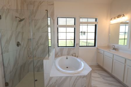 New construction Single-Family house 9912 Cavelier Canyon Ct, Montgomery, TX 77316 plan 16598 Gaines Glen Lane - image 6