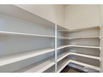 New construction Single-Family house 16569 Peak St, Broomfield, CO 80023 plan Iconic - image 19